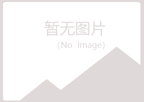 伊春翠峦回忆机械有限公司